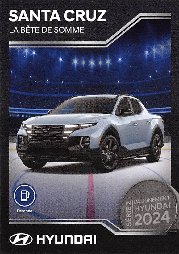 THE DOLLAR BIN 2024 HYUNDAI 11 SANTA CRUZ