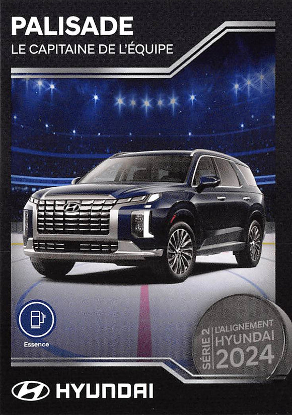 THE DOLLAR BIN 2024 HYUNDAI 13 PALISADE