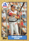 AE880 1987 TOPPS