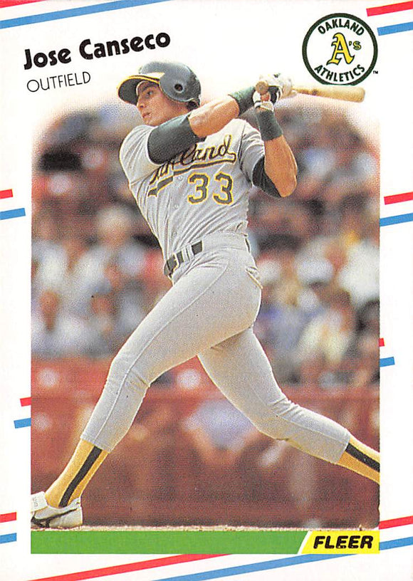 AF243 1988 FLEER