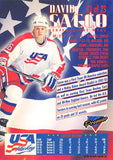 AI299 1993-94 Topps Premier Team USA 13 DAVID SACCO