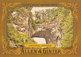 2016 Topps Allen & Ginter Natural Wonders NW-7 NATURAL BRIDGE