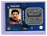 TWO DOLLAR TOUGHIE 2004 Pacific CFL Grey Expectations 3 ANTHONY CALVILLO ALOUETTES